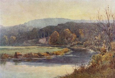 Le bois et la voie navigable - Ernest Benger or Berenger