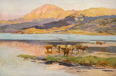 La tête du Loch Quoich, soir - Ernest Edward Briggs