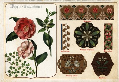 Images de camélias et de fleurs d