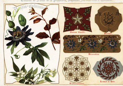 Images de jasmin et de passiflore à partir de manuscrits et leur a - Ernest Guillot