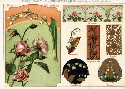Images de rose mousse et de muguet des manuscrits - Ernest Guillot