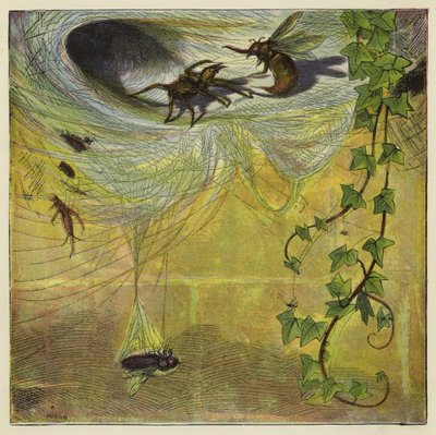 Araignée, mouche et abeille - Ernest Henry Griset