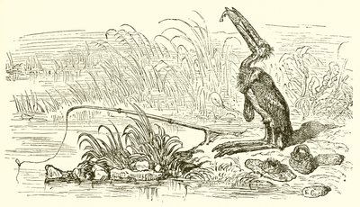 Le Pêcheur et le Petit Poisson - Ernest Henry Griset