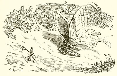 La fourmi et la chrysalide - Ernest Henry Griset
