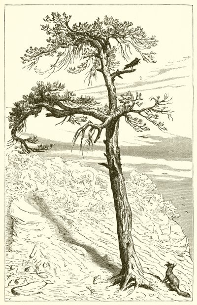 Le Renard et l
