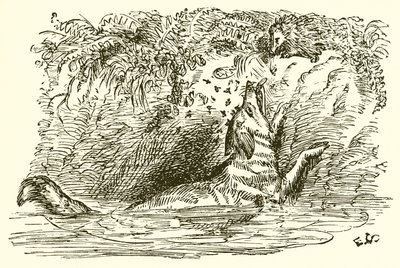 Le Renard et le Hérisson - Ernest Henry Griset