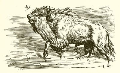 Le Moucheron et le Taureau - Ernest Henry Griset