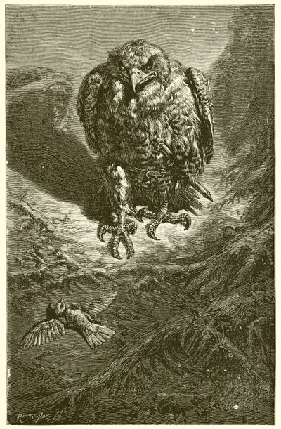 Le Faucon et le Rossignol - Ernest Henry Griset