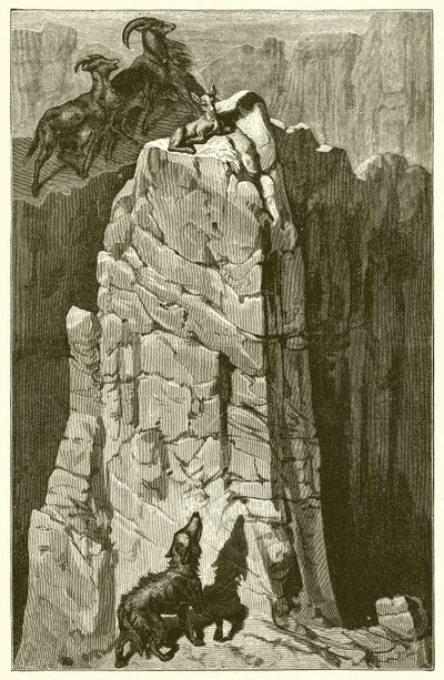 Le Chevreau et le Loup - Ernest Henry Griset