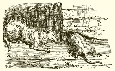 La Souris et la Belette - Ernest Henry Griset
