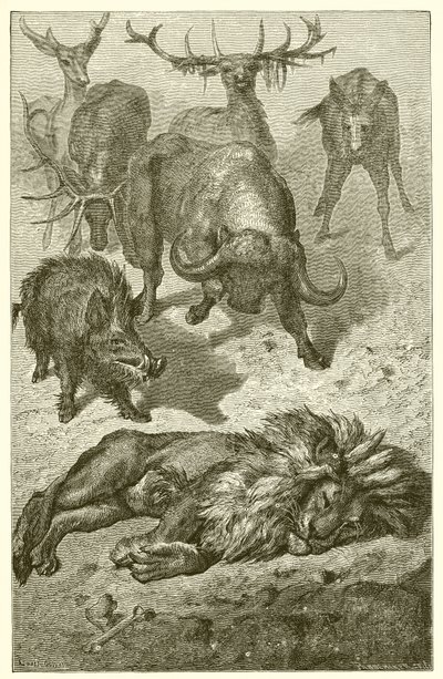 Le Vieux Lion - Ernest Henry Griset