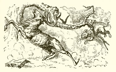 Le cerf regardant dans la mare - Ernest Henry Griset