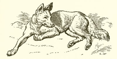 Le Loup en habit de mouton - Ernest Henry Griset