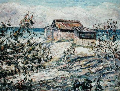 Cabane de l