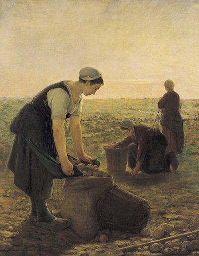 La Récolte des pommes de terre - Ernest Masson