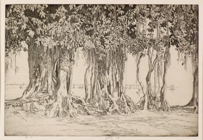 Le banian - Ernest Stephen Lumsden