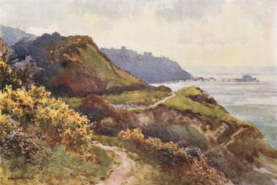 Ventnor depuis le sentier de Steephill - Ernest William Haslehust