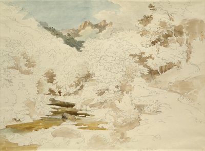 Bois près de Massa - Ernst Fries