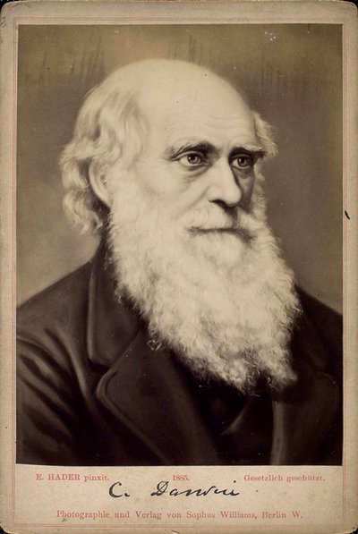 Charles Darwin, naturaliste britannique, c1860s-c1870s - Ernst Hader