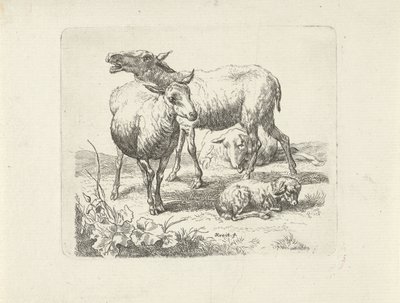 Trois moutons et un agneau dans un pré - Ernst Ludwig Creite