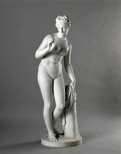 Vénus, d