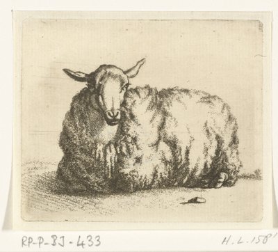 Mouton couché de face - Ernst Willem Jan Bagelaar