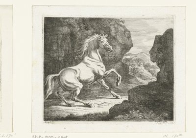 Cheval blanc cabré - Ernst Willem Jan Bagelaar