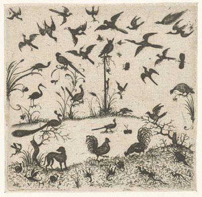 Oiseaux - Esaias van Hulsen