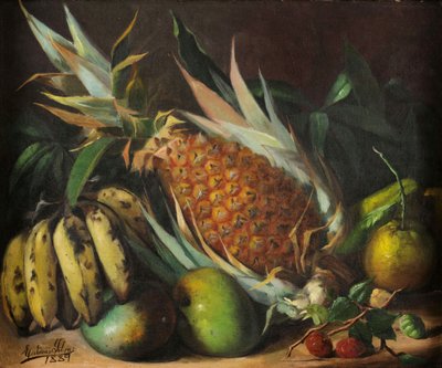 Nature morte - Estevao Roberto da Silva