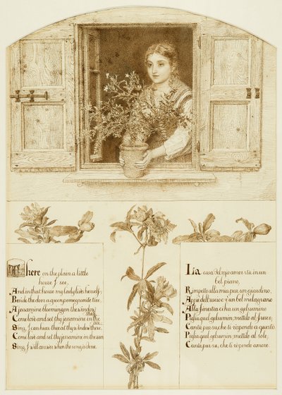 La fenêtre de Jessamine, dessin vers 