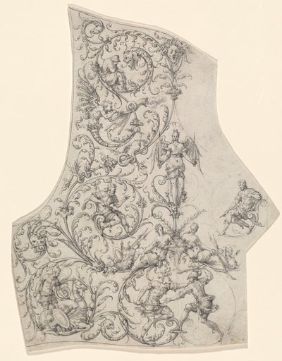 La plaque dorsale d