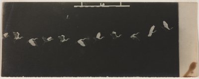 Chronophotographie d