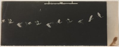 Chronophotographie d