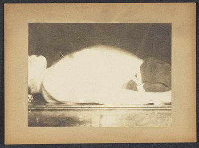 Marey dans une étude de la respiration - Etienne Jules Marey
