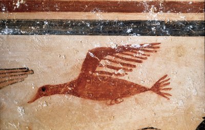 Un oiseau (détail de fresque, 530 av. J.-C.) - Etruscan