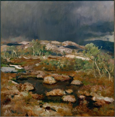 Averse dans la haute lande norvégienne - Eugen Felix Prosper Bracht