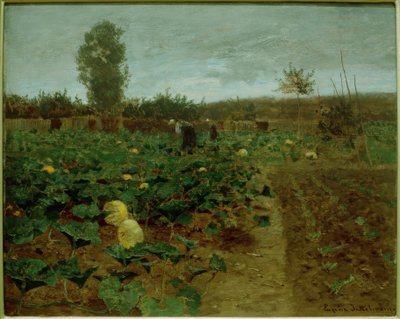 Champ de citrouilles - Eugen Jettel