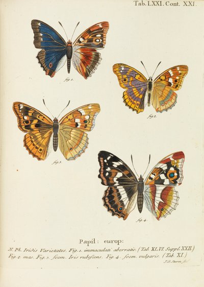 Die Schmetterlinge, 1777-1794 - Eugen Johann Christoph Esper