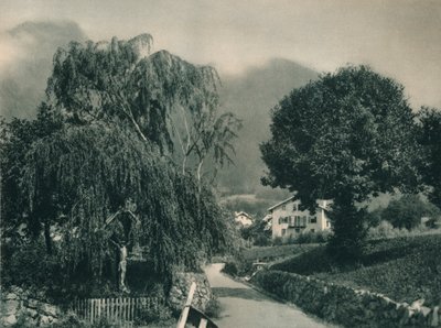 Route vers le château de Tyrol, Merano, Tyrol du Sud, Italie - Eugen Poppel