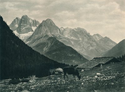 Vue du groupe de Brenta avec pâturage alpin, Madonna di Campiglio, Dolomites, Italie, 1927 - Eugen Poppel