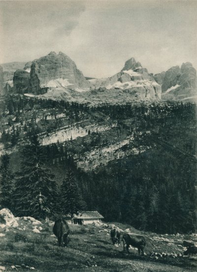 Vue du groupe de Brenta avec pâturage alpin, Madonna di Campiglio, Dolomites, Italie, 1927 - Eugen Poppel