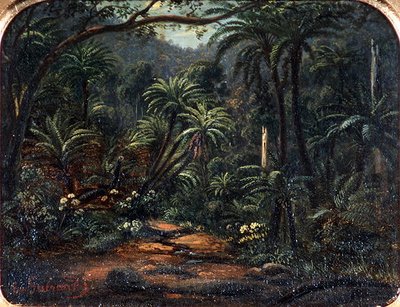 Ferntree Gully dans les Dandenong Ranges - Eugen von Guerard