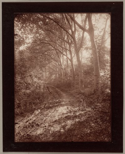Parc de Sceaux - Eugène Atget