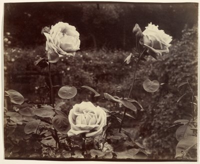  - Eugène Atget