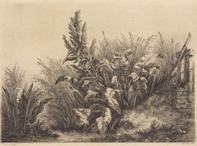  - Eugene Bléry