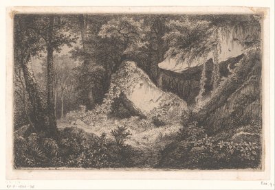 Rochers couverts de végétation dans une forêt (Suite de 8 eaux-fortes gravées sur nature près Dampierre par Eug. Bléry) - Eugene Bléry