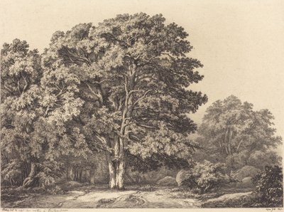 Entrée d