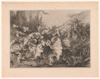 Grande bardane (Les quatre grandes plantes) - Eugene Bléry