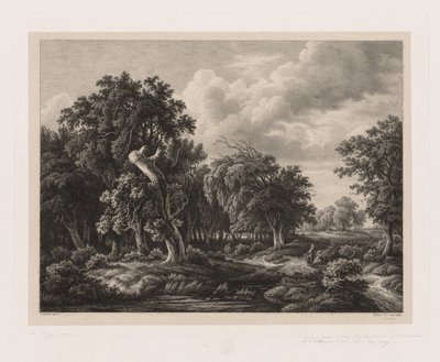 Groupes de diverses plantes dessinées d