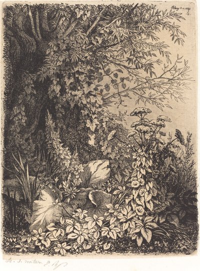 La bardane au saule, publié en 1849 - Eugene Bléry